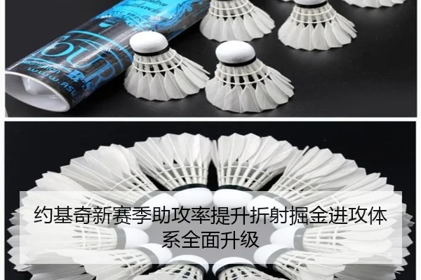 约基奇新赛季助攻率提升折射掘金进攻体系全面升级